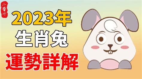 1963屬兔2023運勢|1963年属兔人2023年运势及运程详解 63年出生60岁生肖兔2023年。